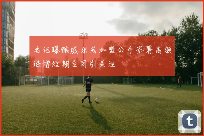 名记曝鲍威尔或加盟公牛签署高额递增短期合同引关注